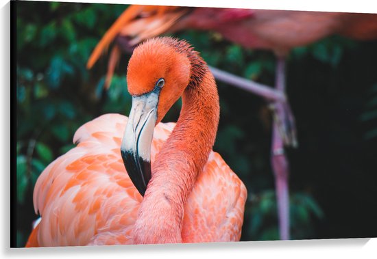 WallClassics - Canvas  - Mooie Roze Flamingo - 120x80 cm Foto op Canvas Schilderij (Wanddecoratie op Canvas)