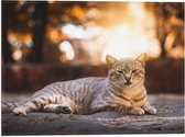 WallClassics - Vlag - Luie Poes - 40x30 cm Foto op Polyester Vlag