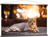 WallClassics - Affiche Textile - Chat Paresseux - 120x80 cm Photo sur Textile
