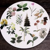 50 Botanical Vellum Stickers - Botanische Sticker - Bloemen - Planten - Stickerset voor Bulletjournal en Scrapbooking