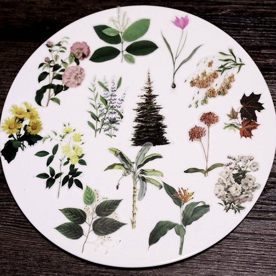 50 Botanical Vellum Stickers – Botanische Sticker – Bloemen – Planten – Stickerset voor Bulletjournal en Scrapbooking
