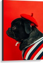 WallClassics - Toile - Carlin avec bonnet rouge - 60x90 cm Photo sur toile (Décoration murale sur toile)