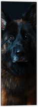 WallClassics - Dibond - Lieve Herdershond - 40x120 cm Foto op Aluminium (Met Ophangsysteem)