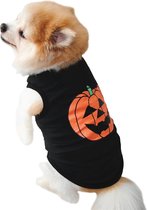 Halloween trui pompoen voor jouw Diva hondje hondenkleding pumpkin