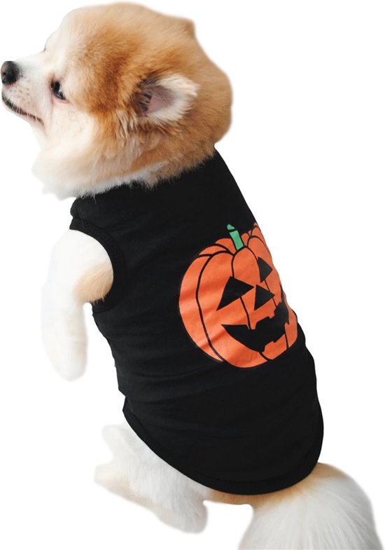 Foto: Halloween trui pompoen voor jouw diva hondje hondenkleding pumpkin