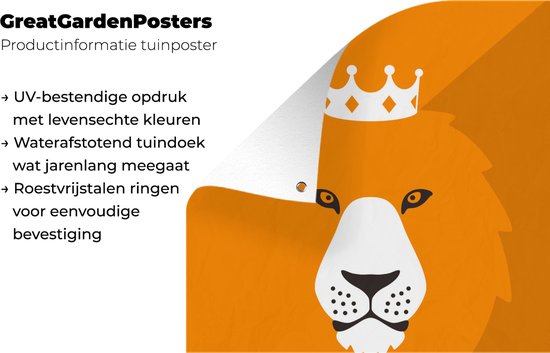 Le portrait d'un lion hollandais affiche jardin 60x80 cm - Toile de jardin / Toile d'extérieur / Peintures d'extérieur (décoration de jardin)