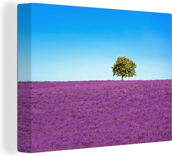 Canvas Schilderij Boom - Paars - Lucht - Lavendel - 120x90 cm - Wanddecoratie