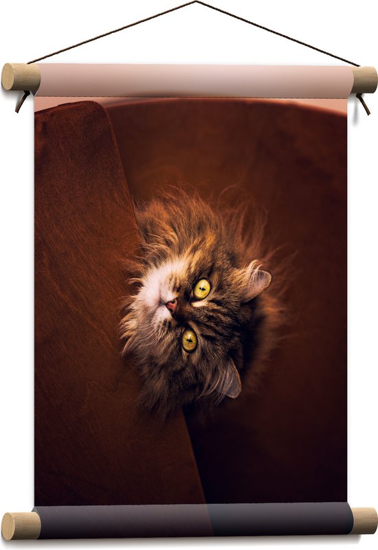 WallClassics - Poster Textile - Chat lève les yeux - 30x40 cm Photo sur Textile