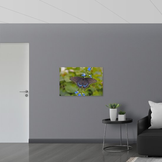 WallClassics - Drapeau - Papillon noir sur fleur Bloem - 90 x 60 cm Photo sur drapeau en polyester