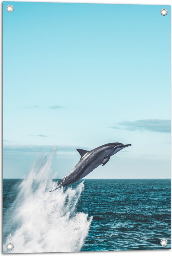 WallClassics - Tuinposter – Dolfijn Springend uit de Zee - 50x75 cm Foto op Tuinposter  (wanddecoratie voor buiten en binnen)