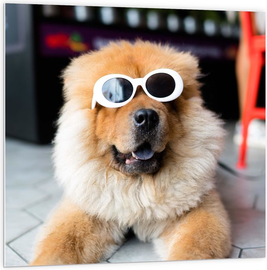 WallClassics - PVC Schuimplaat- Coole Hond met Zonnebril - 100x100 cm Foto op PVC Schuimplaat