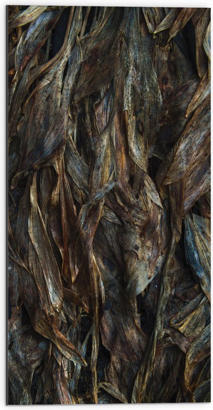 WallClassics - Dibond - Bruine Bladeren - 50x100 cm Foto op Aluminium (Met Ophangsysteem)