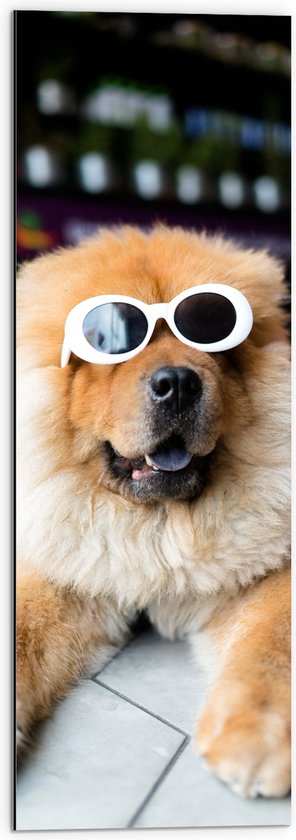 WallClassics - Dibond - Coole Hond met Zonnebril - 30x90 cm Foto op Aluminium (Met Ophangsysteem)