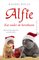 Alfie  -   Kat onder de kerstboom