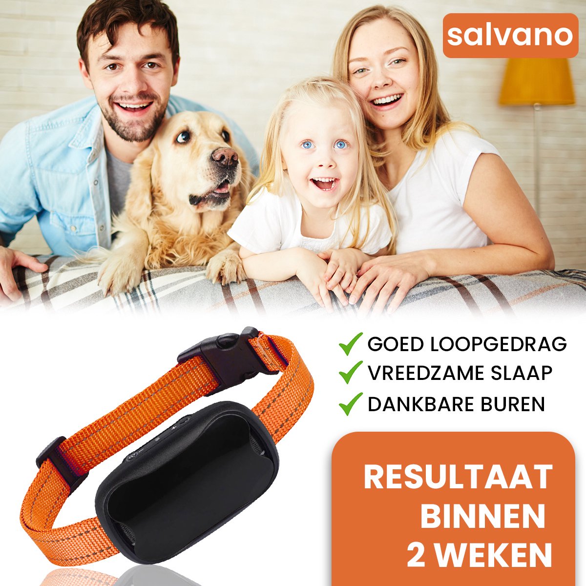 Anti Blafband Blafband Voor Honden opvoedingshalsbanden voor Kleine en Grote... Anti Blafband Blafband Voor Honden opvoedingshalsbanden voor Kleine en Grote...