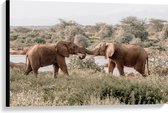 WallClassics - Canvas  - Begroeting van Afrikaanse Olifanten - 90x60 cm Foto op Canvas Schilderij (Wanddecoratie op Canvas)