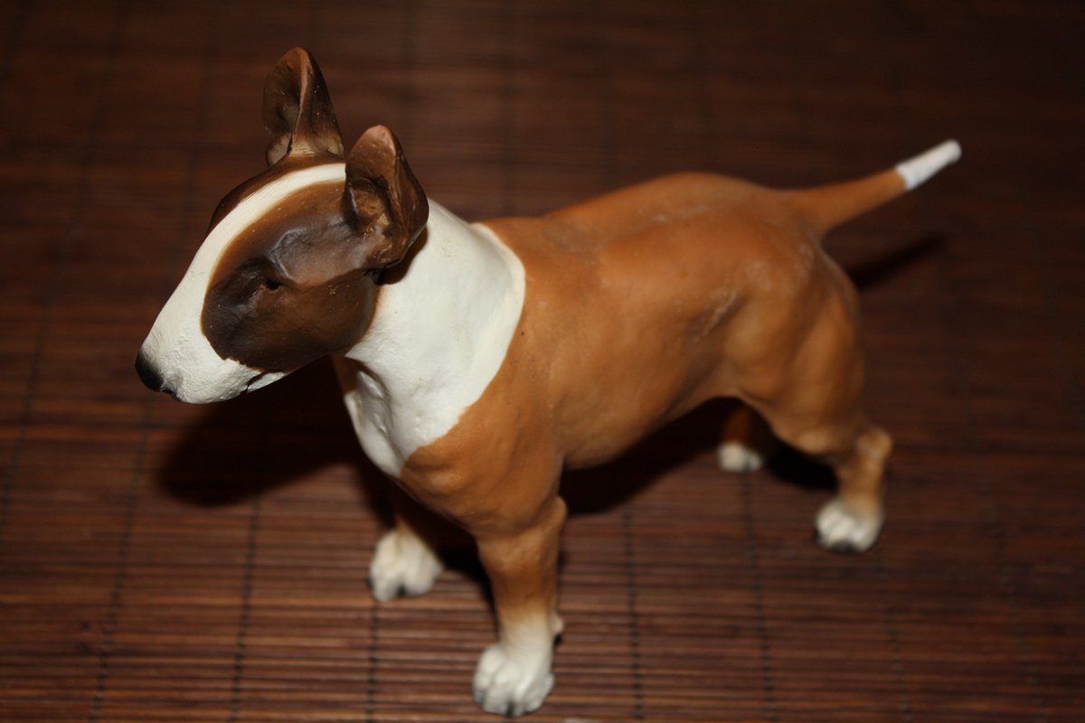 Beeld Bullterrier bruin/wit