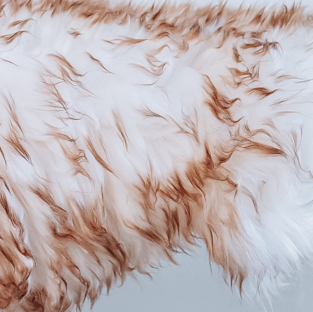 Peau de mouton multicolore XXL
