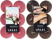 Candles by Spaas geurkaarsen - 24x stuks in 2 geuren Magnolia Blossom en Exotic wood