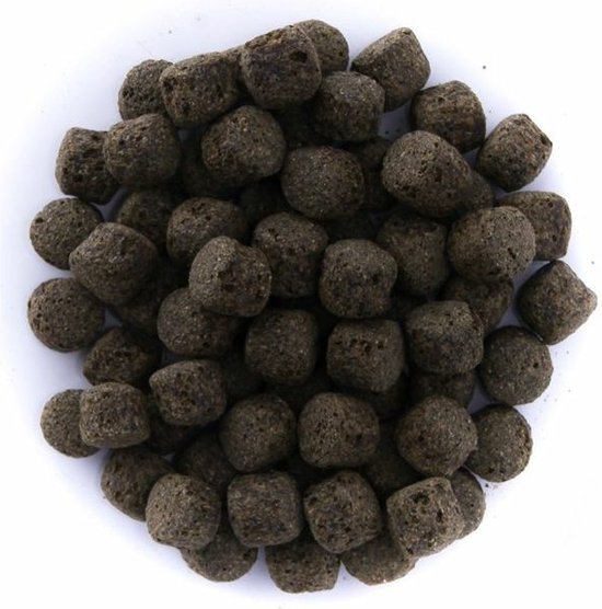 Coppens Koivoer Spirulina 6 mm 15 kg