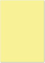 Papier Kangaro - A4 - 160 grammes FSC - paquet de 50 feuilles - jaune pastel - K-0039P002