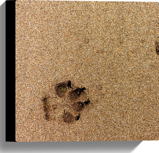 WallClassics - Canvas  - Sporen van een Hond in het Zand - 30x30 cm Foto op Canvas Schilderij (Wanddecoratie op Canvas)