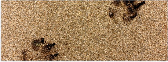 WallClassics - Poster Glanzend – Sporen van een Hond in het Zand - 90x30 cm Foto op Posterpapier met Glanzende Afwerking
