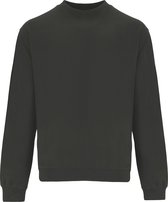 Grijze heren sweater Telena merk Roly maat XL
