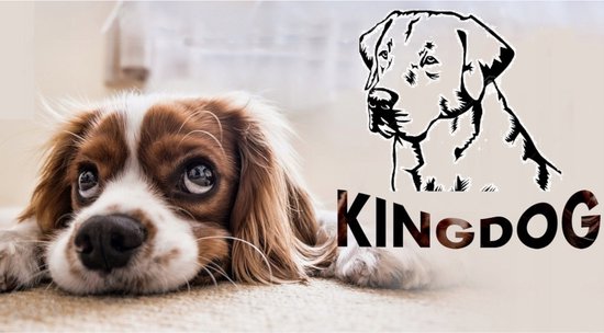 Kingdog - Groot honden- en kattenbed | Dierenmand 115 x 95 | Lichtgrijs - maat XL