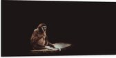 WallClassics - Dibond - Aap in het Donker - 100x50 cm Foto op Aluminium (Met Ophangsysteem)