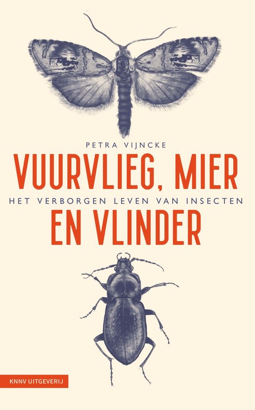Vuurvlieg, mier en vlinder - cover