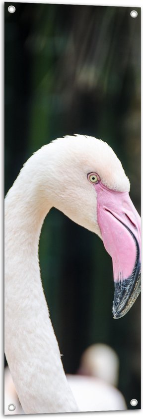 WallClassics - Tuinposter – Witte Flamingo met Roze Snavel - 40x120 cm Foto op Tuinposter  (wanddecoratie voor buiten en binnen)