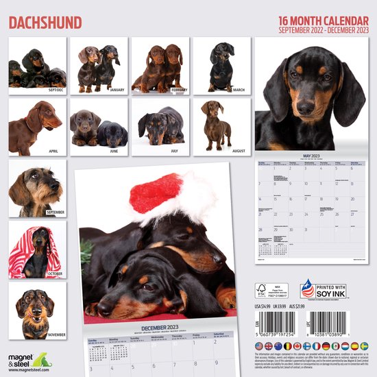 Teckel Kalender 2023 Modern  bol.com