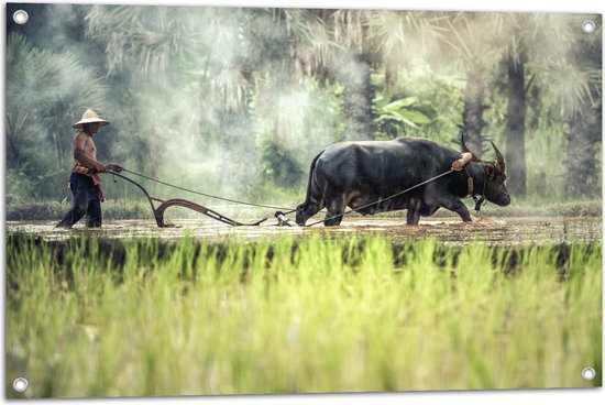 WallClassics - Poster de Jardin - Fermier Asiatique au Travail - 90x60 cm Photo sur Poster de Jardin (décoration murale pour l'extérieur et l'intérieur)