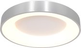 Plafondlamp Steinhauer Ringlede - Zilver