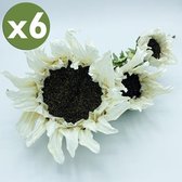 6 PAK ZONNEBLOEM RAMOS 56 CM MET 3 bloemen in witte