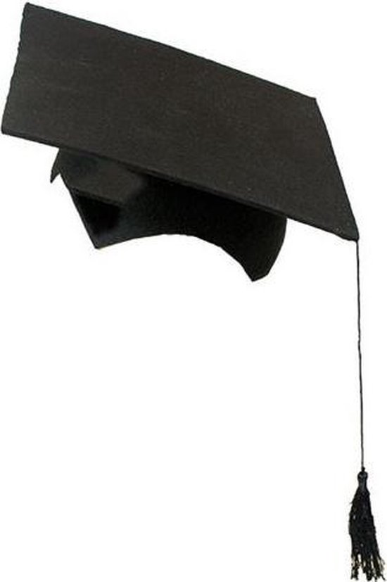 2-delige afstudeer hoed geslaagd zwart met kwast voor volwassenen - Examen diploma uitreiking feestartikelen cadeau geven