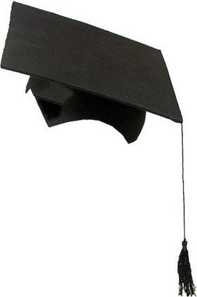 2-delige afstudeer hoed geslaagd zwart met kwast voor volwassenen - Examen diploma uitreiking feestartikelen - Witbaard