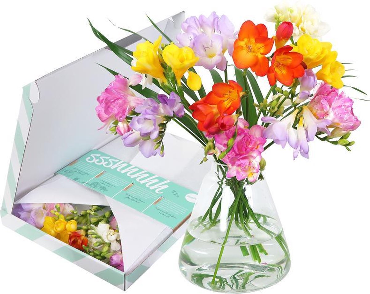 Happy Breeze Freesia mix Brievenbus bloemen BloomPost