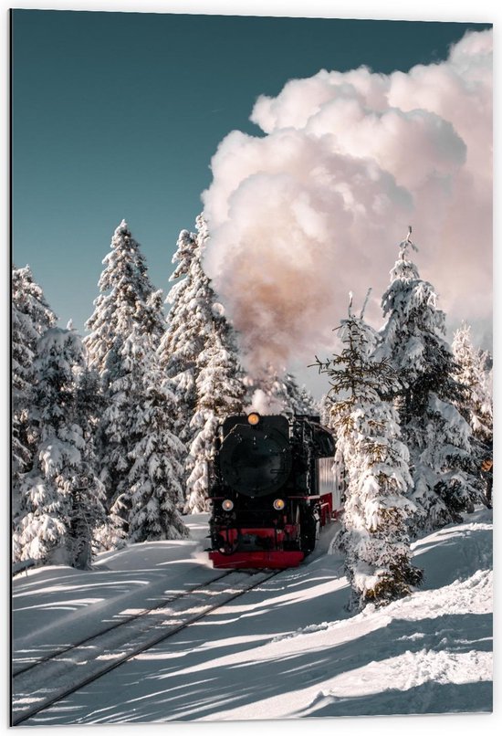 Dibond - Rood/Zwarte Stoomtrein in Sneeuwlandschap - 60x90cm Foto op Aluminium (Met Ophangsysteem)