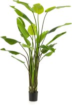Strelitzia XXXL - kunstplant