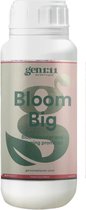 Gen1:11 Bloom big 500 ml
