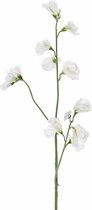 Fabulous Flowers - zijden Lathyrus wit 64 cm - 3 stuks