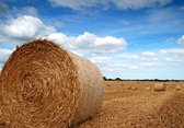 Tuinposter - Landschap - Hooi / Hooibalen in beige / bruin / blauw / wit / zwart  -  60 x 90 cm.