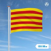 Vlag Catalonie 120x180cm