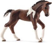 Schleich Trakehner veulen 13758 - Paard Speelfiguur - Horse Club - 13 x 2,5 x 7 cm