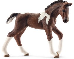 foto van Schleich Trakehner veulen 13758 - Paard Speelfiguur - Horse Club - 13 x 2,5 x 7 cm