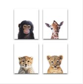 Schilderij Canvas Jungle Set 4 Baby Aapje Giraffe Cheeta Tijger - 4 Luik Kinderkamer - Dieren Doek - Babykamer / Kinder Doek - Babyshower Cadeau - Muurdecoratie - 50x40cm - FramedC