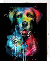 Schilderen op Nummer Hond Abstract 40x50 met Frame Volwassenen Kinderen - Kleuren op Nummer - Paint by Number - Hobbypainting.nl®