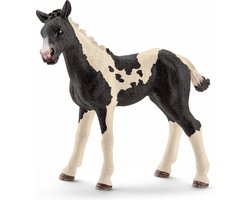 foto van Schleich Farm World - Pinto foal 13803